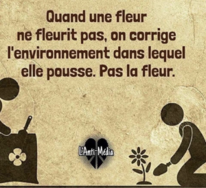 Conseiller d'orientation